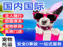 丽江三义航空运输国际宠物托运 【国